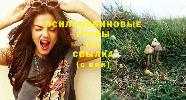 хмурый Абинск